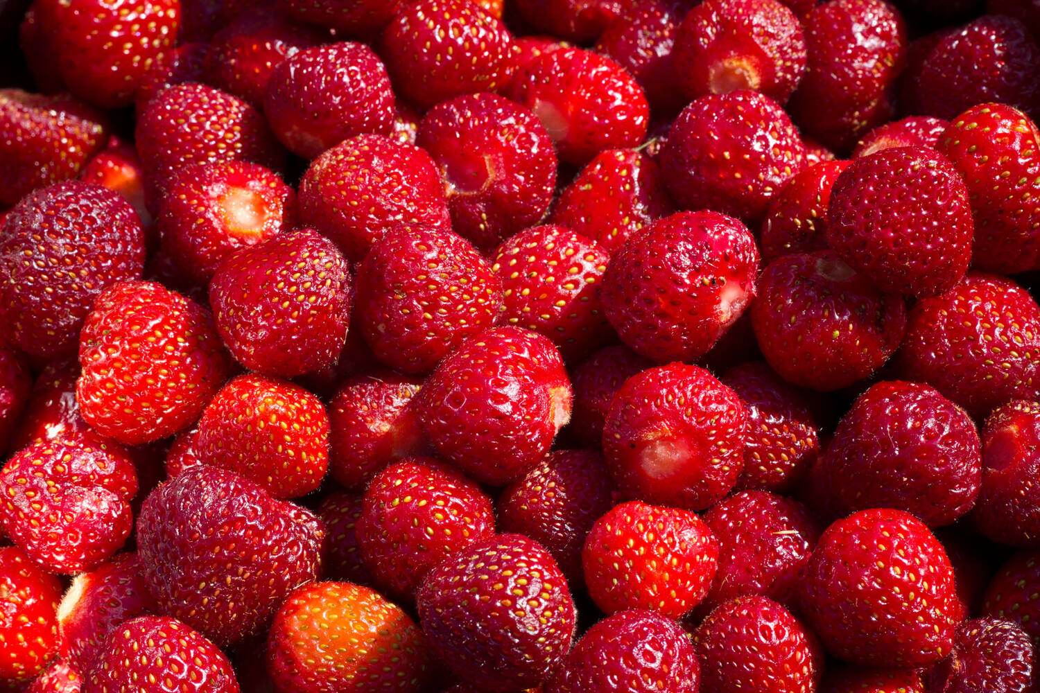 Aardbeien schoon 1kg stuk 2